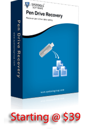 Pen Drive Data Recovery